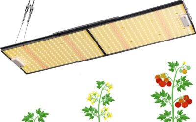 LQB2000 LED Grow Light Review