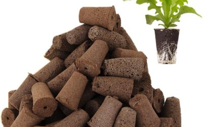 Moistenland Seed Pod Sponges Review