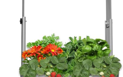 SANSI Hydroponics Growing System Indoor Garden Review