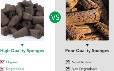 Seed Pods Kit Review