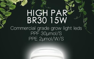 Switchable LED Grow Light Bulb Review