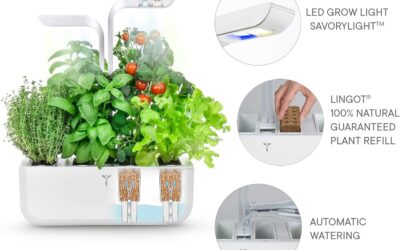 Véritable® Classic Indoor Vegetable Garden Review