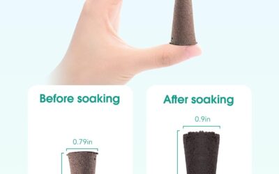 116 Pack Seed Pods Review