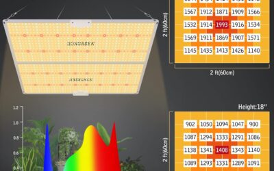 600W LED Grow Light Review