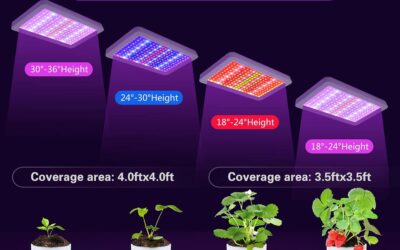 600W LED Grow Lights Review