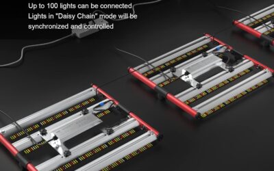 AGLEX 240W LED Grow Lights Review