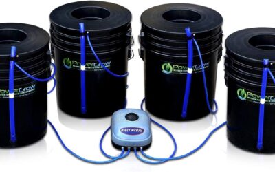 PowerGrow DWC Hydroponic Bubbler Bucket Kit Review
