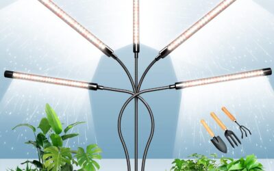 DICCEAO 150W LEDs Grow Light Review