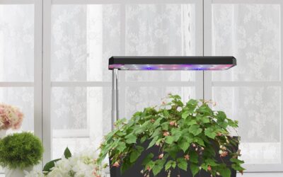 Hydroponic Garden Review
