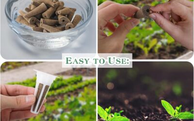 Hydroponic Garden Supplies Accessories Review