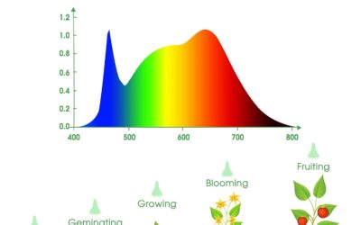 LED Grow Light Bulb Review