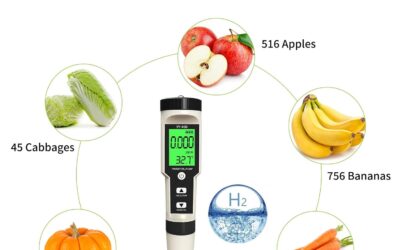 Digital PH ORP H2 Temp Meter Review