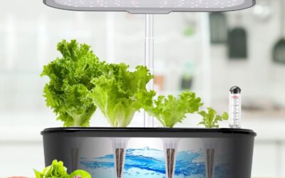 VIC VSEE 100 Pack Growth Sponges Review