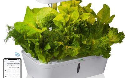 YDB-AM2101 Hydroponics Growing System Review