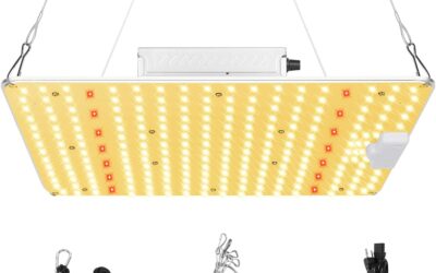 2024 SR1000 LED Grow Light Review