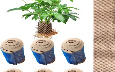 6PCS Hydroponic Pods Review