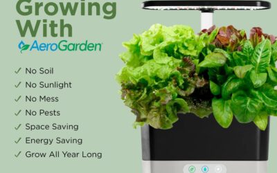 AeroGarden Harvest Review