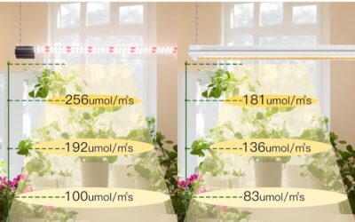 BBOUNDER LED Grow Light Review
