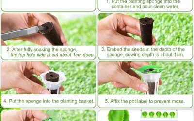 Cunhill Hydroponic Plant Grow Sponges Pods Kit Review