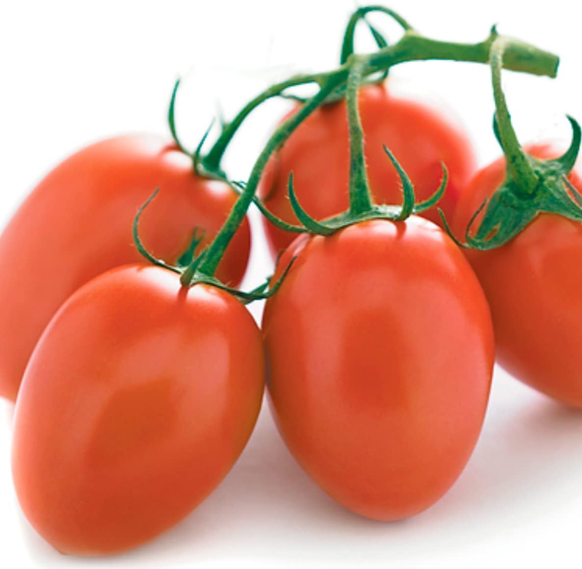 for 2024!Organic Heirloom Cherry Tomato Seeds for Planting Vegetables and Fruits.Vegetable Seeds for Planting Home Garden.Hydroponic Seeds-30ct Large Red Cherry Tomatoes Vegetable Garden Seeds