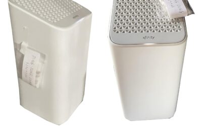 2024 Organic Heirloom Cherry Tomato Seeds Review