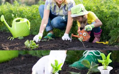 Grow Baskets Transparent Insulation Lids Review