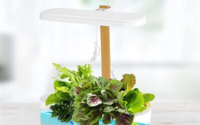 Hydroponic Growing System Review