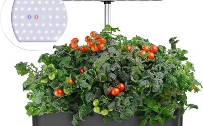 Smart Garden Starter Kit Review