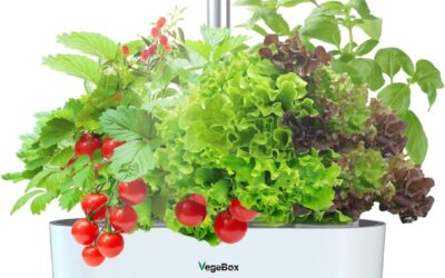 Smart Indoor Herb Garden Kits Review