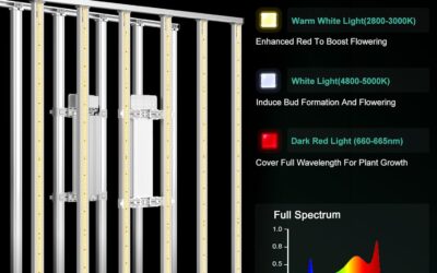 MARS HYDRO FC-E6500 Smart LED Grow Light review