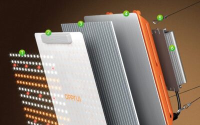 Newest 400W Led Grow Light Review