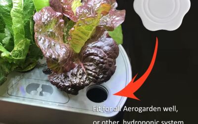 Plant Spacer Cover Review