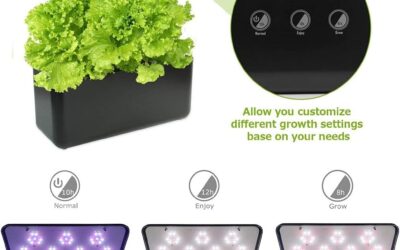 Smart Garden Hydroponics System Review