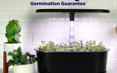 AeroGarden Bounty Basic – Indoor Garden with LED Grow Light, Black Review