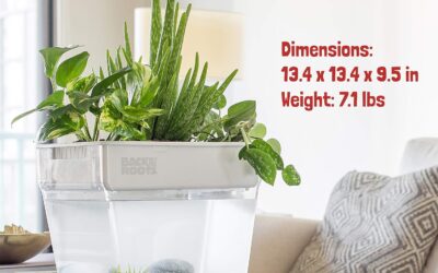 Back to the Roots Indoor Hydroponic Garden Review