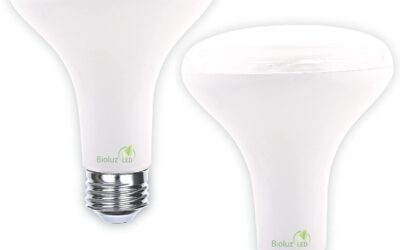BR30 LED 2 Pack Grow Light Bulbs Review