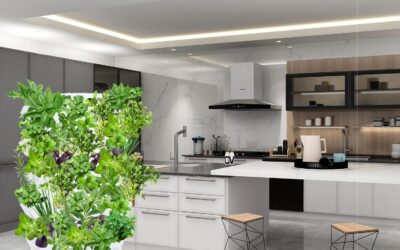 Hydroponics Tower for Strawberry Vegetable Herbs Fruit Review