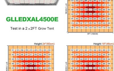 iPower 2024 600W LED Grow Light Review
