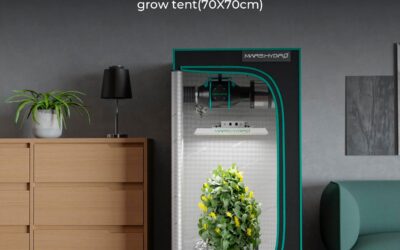 MARS HYDRO 2024 TS1000 Review