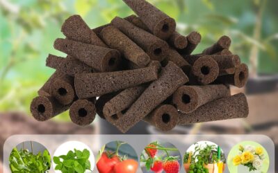 Qunclay 400 Pcs Grow Sponges Review