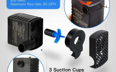 Simple Deluxe Water Pump Review