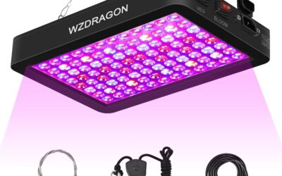 WZDRAGON 2024 BW1000 LED Grow Lights Review