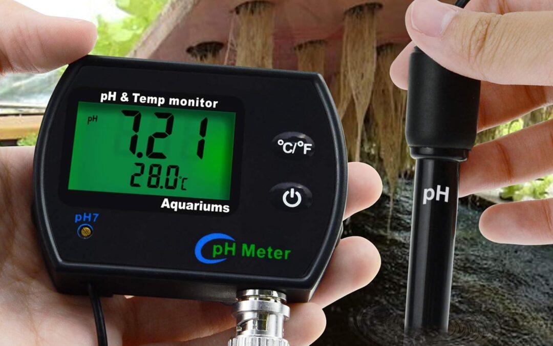 2-in-1 Combo pH & Temperature Meter Review