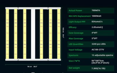 UPDAYDAY LED Grow Light Review