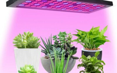 100W LED Grow Lamp Review