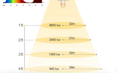 xingruyu 150w LED Grow Light Bulb review