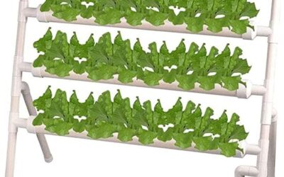 4 Layers 36 Sites Hydroponic Grow Kit Review