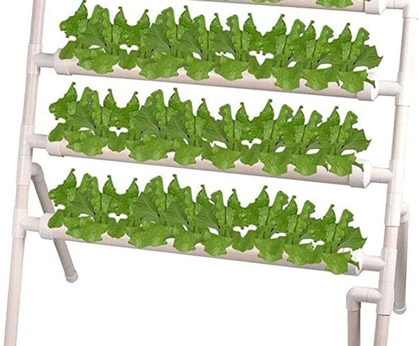 4 Layers 36 Sites Hydroponic Grow Kit Review