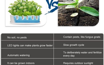 Automatic Hydroponics Growing System Review