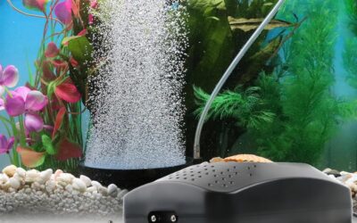 Coospider Aquarium Air Pump Review